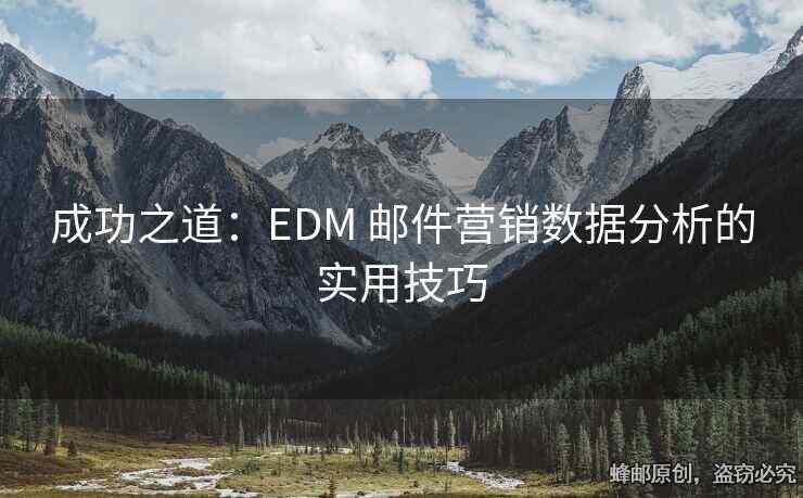 成功之道：EDM 郵件營(yíng)銷數(shù)據(jù)分析的實(shí)用技巧