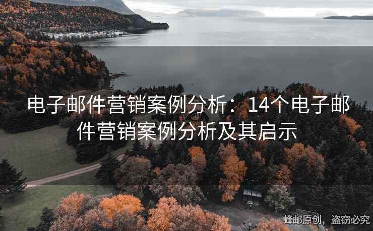 電子郵件營銷案例分析：14個電子郵件營銷案例分析及其啟示