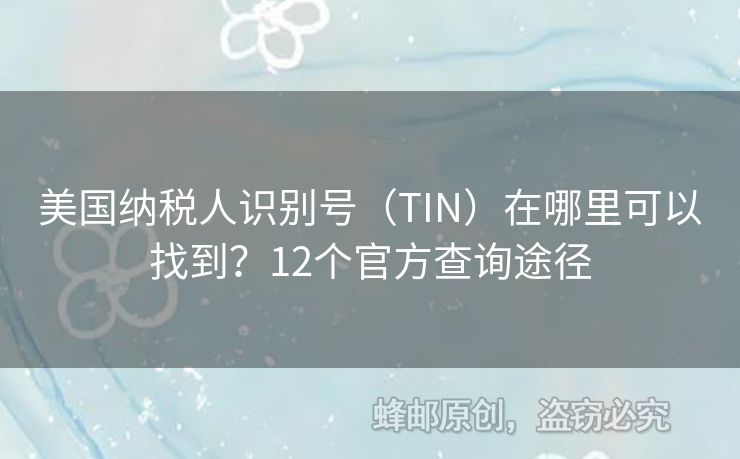 美國(guó)納稅人識(shí)別號(hào)（TIN）在哪里可以找到？12個(gè)官方查詢途徑