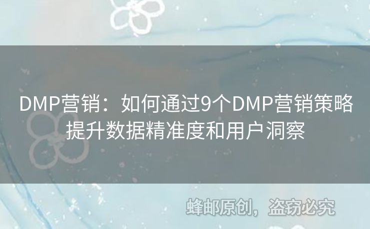 DMP營銷：如何通過9個(gè)DMP營銷策略提升數(shù)據(jù)精準(zhǔn)度和用戶洞察