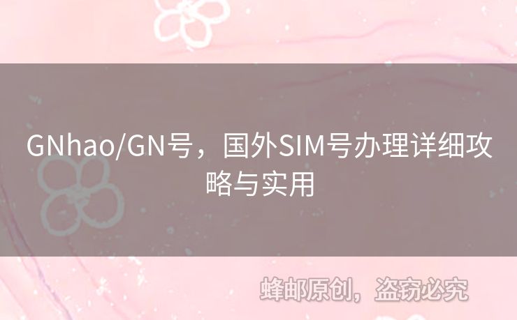 GNhao/GN號，國外SIM號辦理詳細攻略與實用