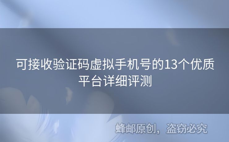 可接收驗(yàn)證碼虛擬手機(jī)號(hào)的13個(gè)優(yōu)質(zhì)平臺(tái)詳細(xì)評(píng)測(cè)
