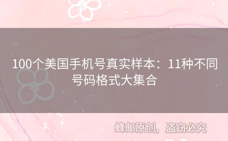 100個美國手機號真實樣本：11種不同號碼格式大集合