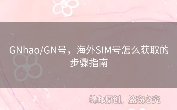 GNhao/GN號，海外SIM號怎么獲取的步驟指南