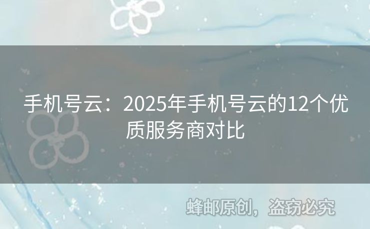 手機號云：2025年手機號云的12個優(yōu)質(zhì)服務(wù)商對比