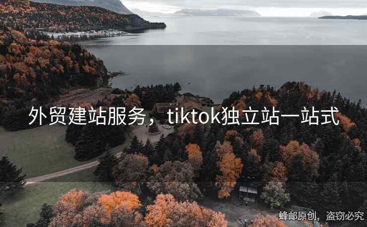 外貿(mào)建站服務(wù)，tiktok獨(dú)立站一站式