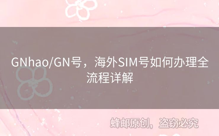 GNhao/GN號(hào)，海外SIM號(hào)如何辦理全流程詳解