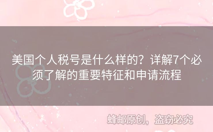 美國個人稅號是什么樣的？詳解7個必須了解的重要特征和申請流程