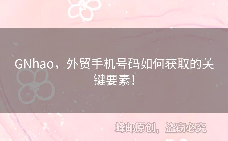 GNhao，外貿(mào)手機(jī)號(hào)碼如何獲取的關(guān)鍵要素！