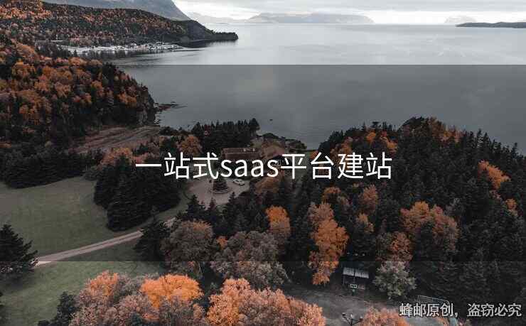 一站式saas平臺(tái)建站