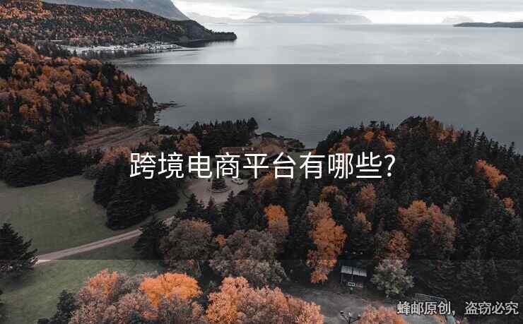 跨境電商平臺(tái)有哪些?