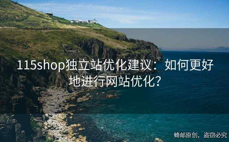 115shop獨立站優(yōu)化建議：如何更好地進行網(wǎng)站優(yōu)化？