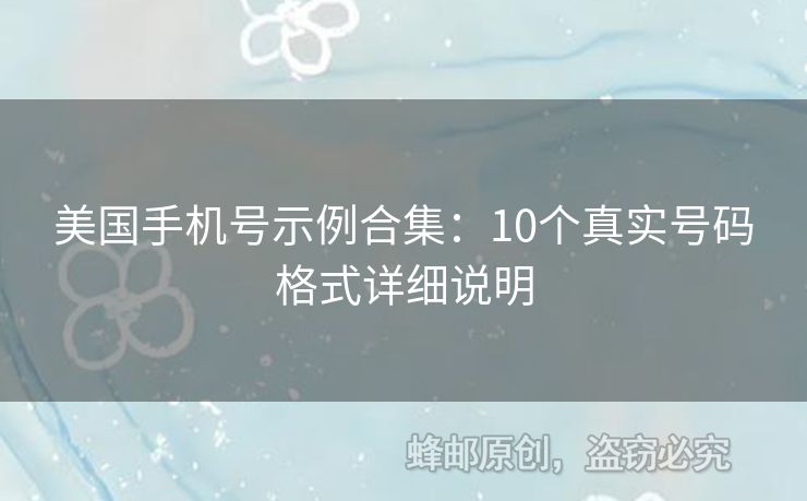 美國手機(jī)號示例合集：10個真實號碼格式詳細(xì)說明
