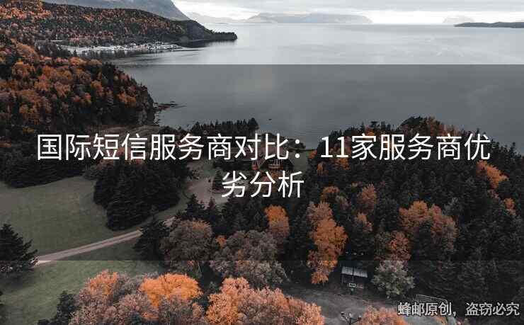 國(guó)際短信服務(wù)商對(duì)比：11家服務(wù)商優(yōu)劣分析